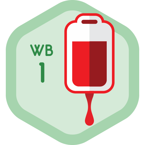 Pendonor Whole Blood Lv. 1